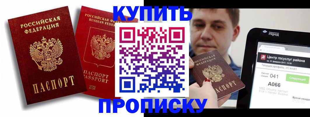 прописка регистрация в Камышине